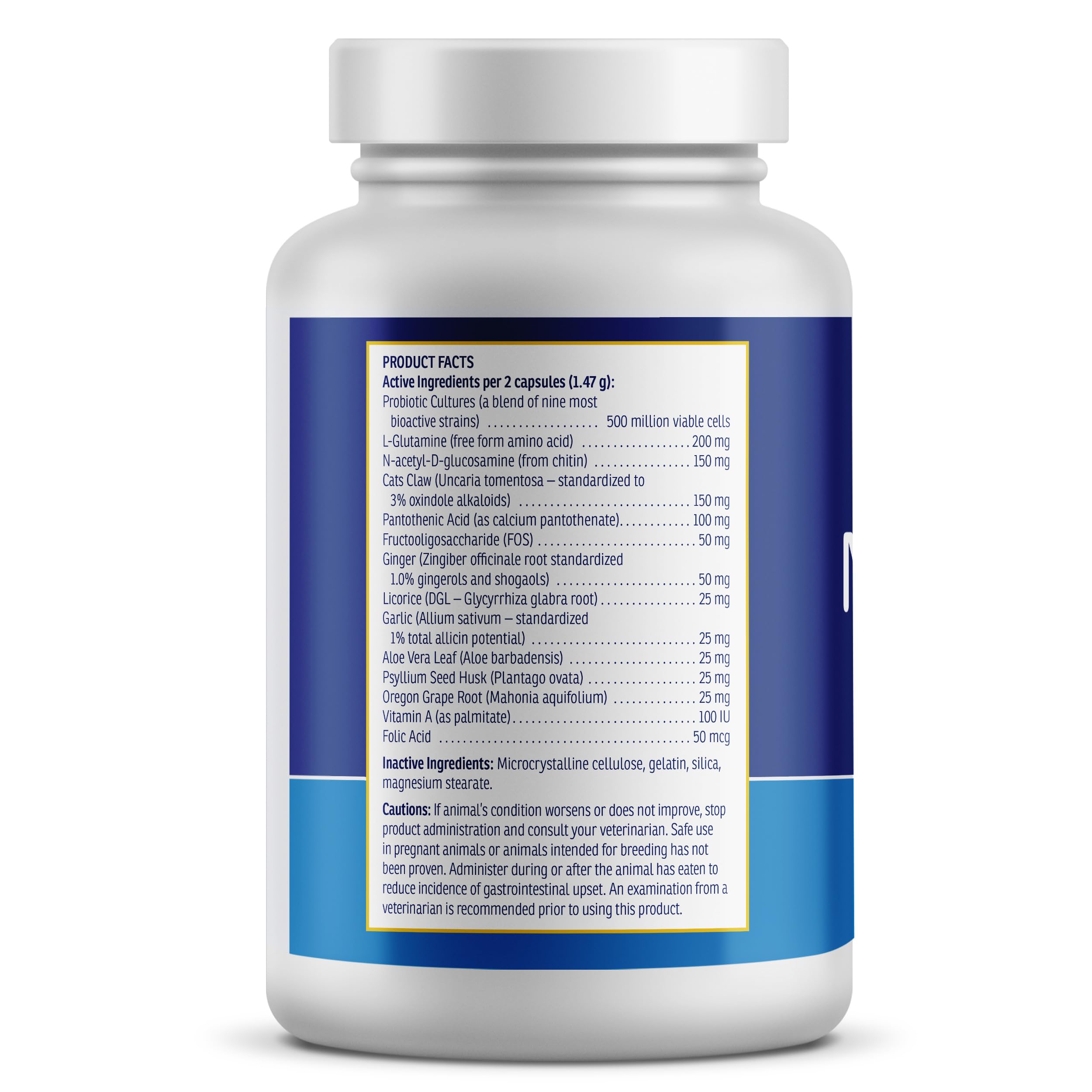 Rx Vitamins NutriGest capsule-detail showing smooth coating for easy swallowing.