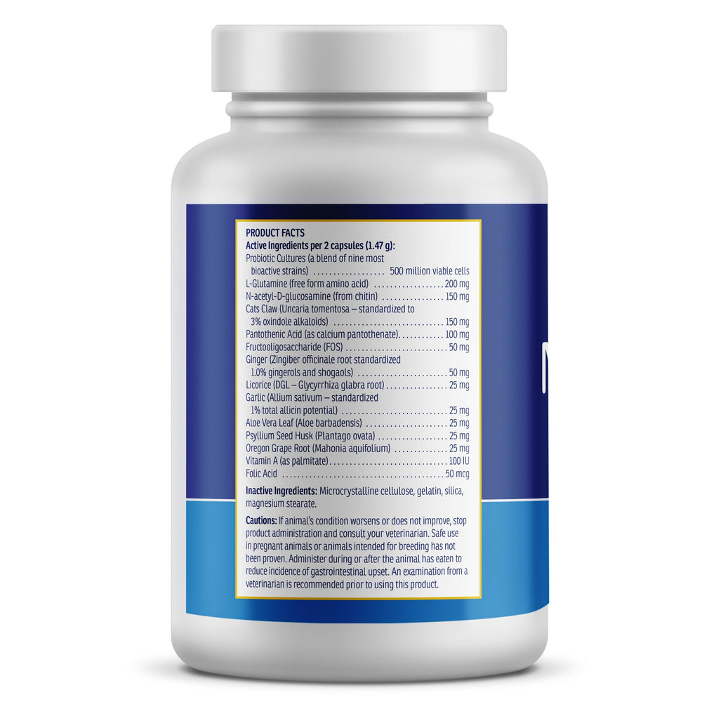 Rx Vitamins NutriGest capsule-detail showing smooth coating for easy swallowing.