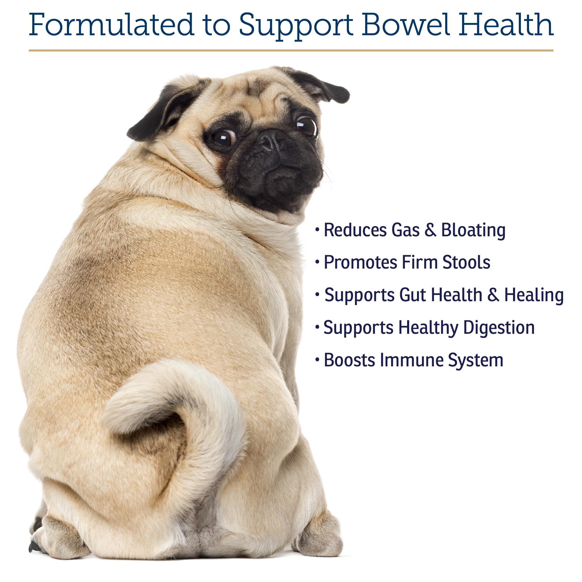 Rx Vitamins NutriGest user with bottle demonstrating easy at-home supplementation.