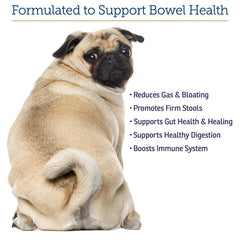 Rx Vitamins NutriGest user with bottle demonstrating easy at-home supplementation.
