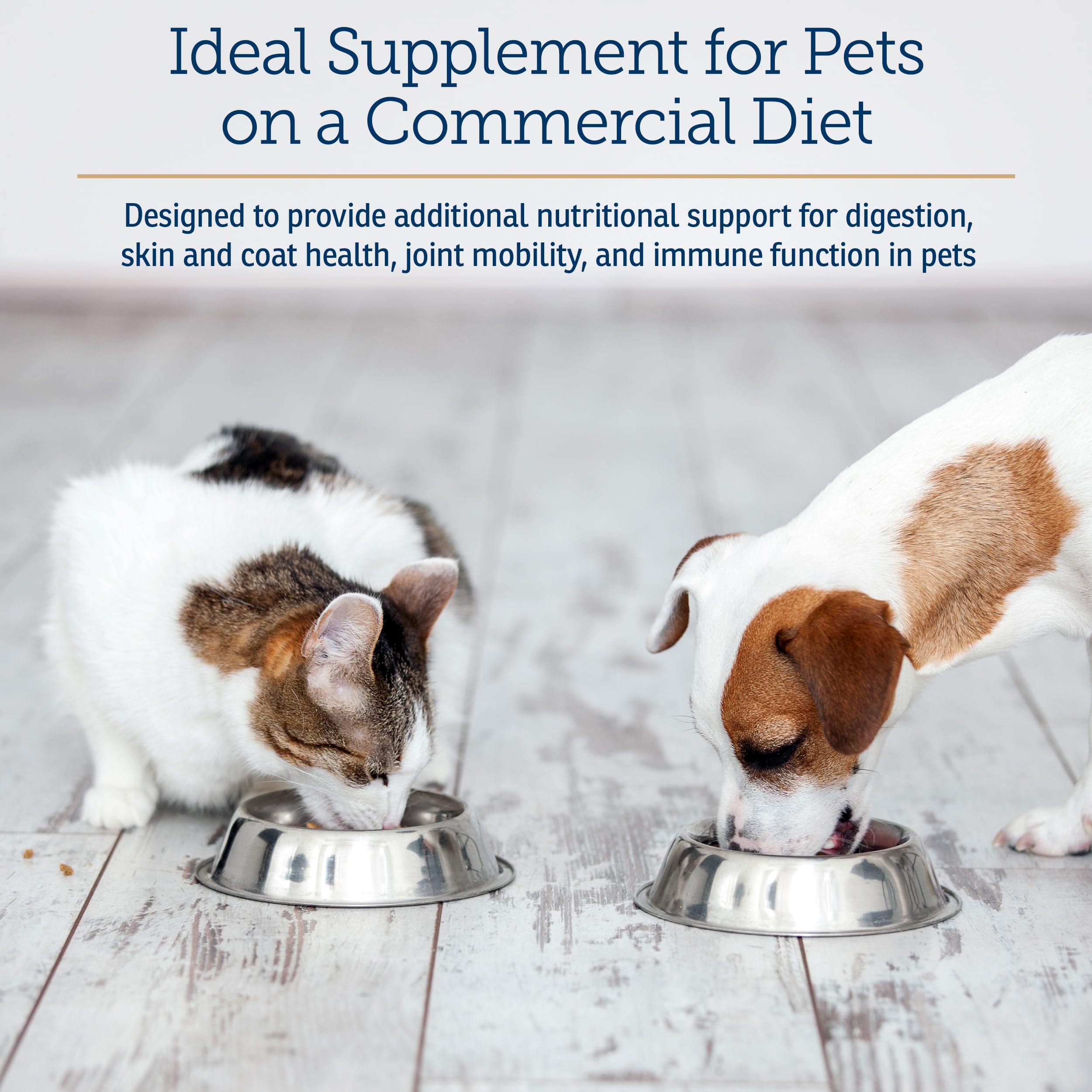 Rx Vitamins Nutritional Support dog meal topping mixed into food.