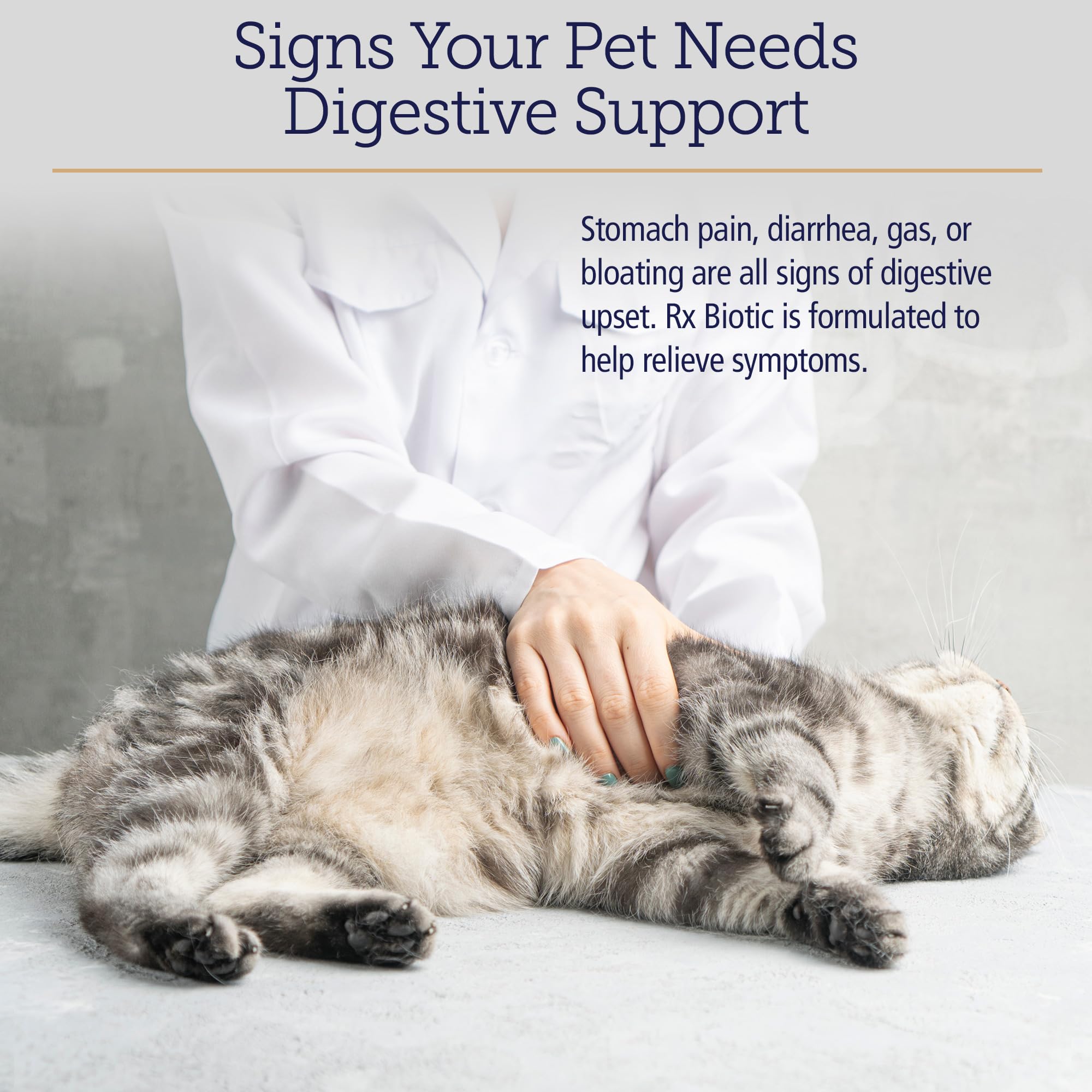 Rx Vitamins Rx Biotic cat digestive support spotlights feline digestion and constipation relief potential.