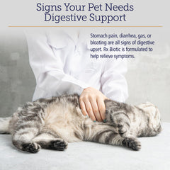 Rx Vitamins Rx Biotic cat digestive support spotlights feline digestion and constipation relief potential.
