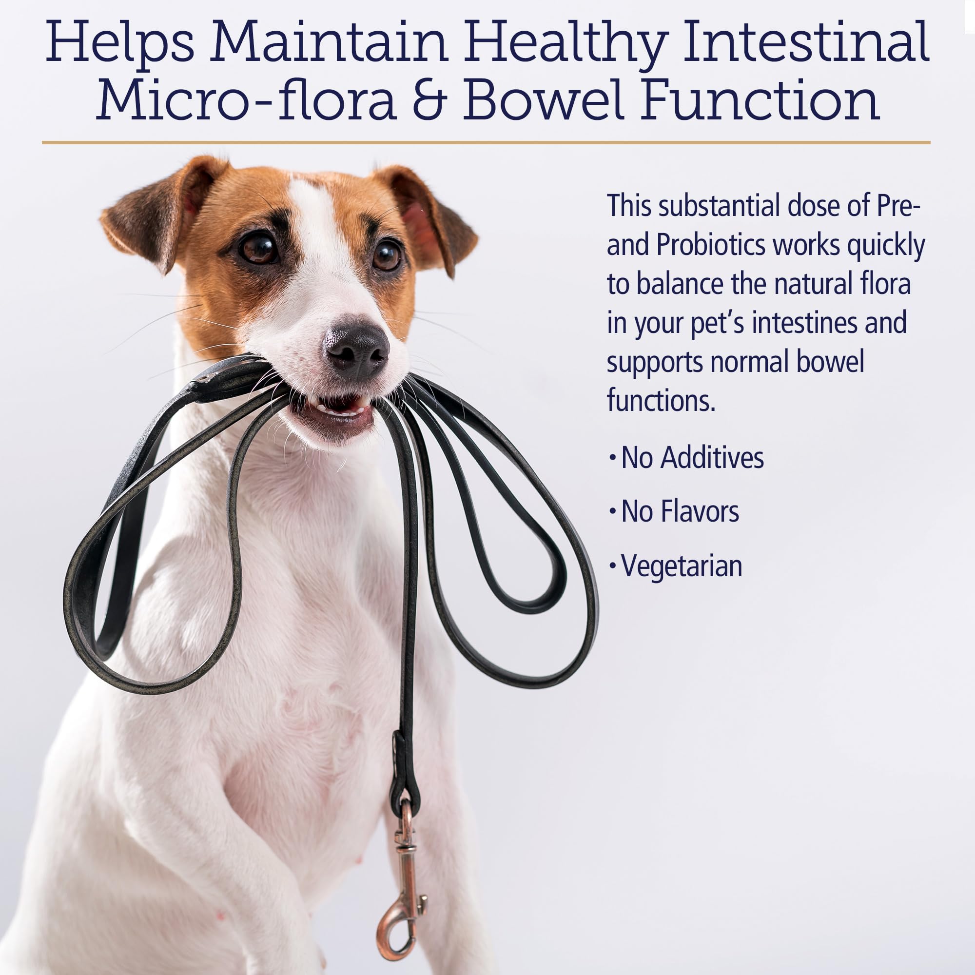 Rx Vitamins Rx Biotic dog gut health focuses on comfort after meals and improved digestion.
