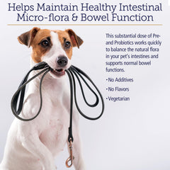 Rx Vitamins Rx Biotic dog gut health focuses on comfort after meals and improved digestion.