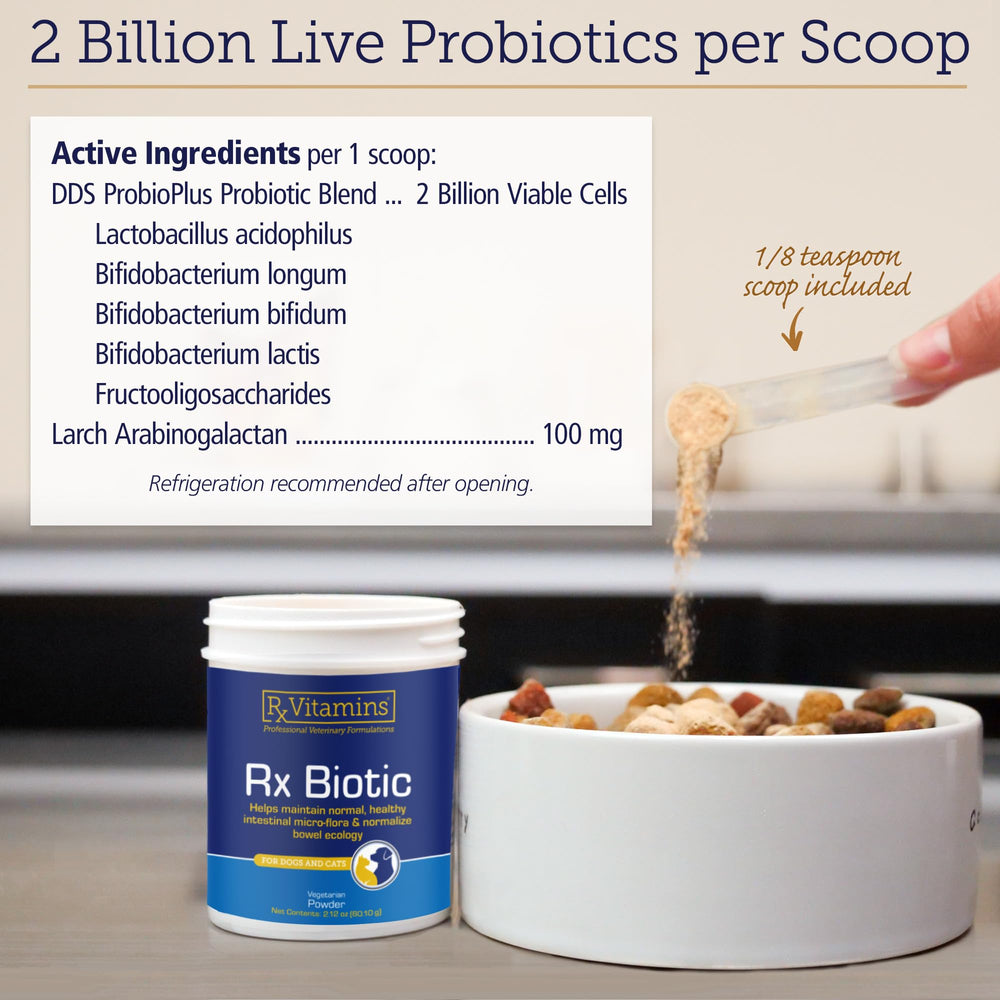 Rx Vitamins Rx Biotic pet supplement aids easy mix-into-food for gut support.