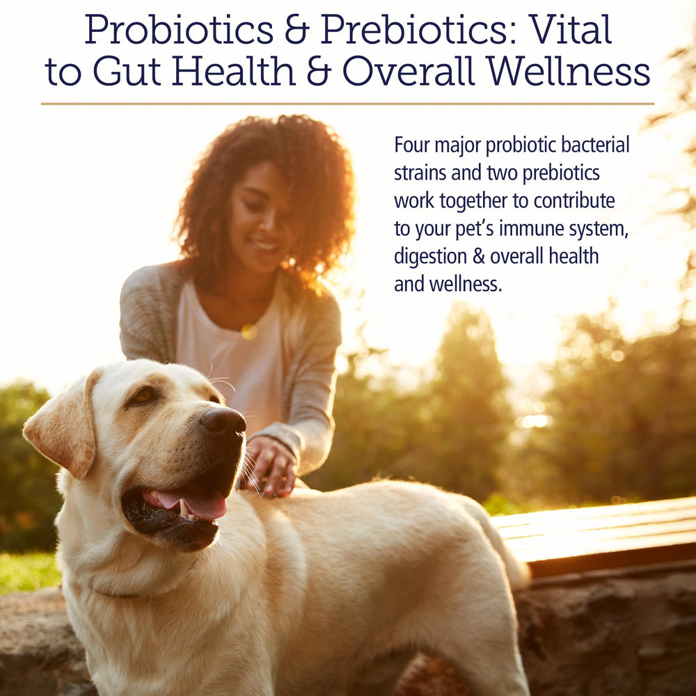 Rx Vitamins Rx Biotic powder dog-cat shows a flavorless mix for daily gut health.