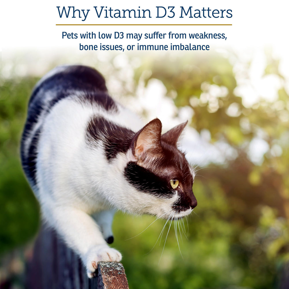 Rx Vitamins Rx D3 cat face calm promotes everyday energy and wellness.