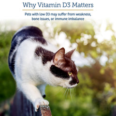 Rx Vitamins Rx D3 cat face calm promotes everyday energy and wellness.