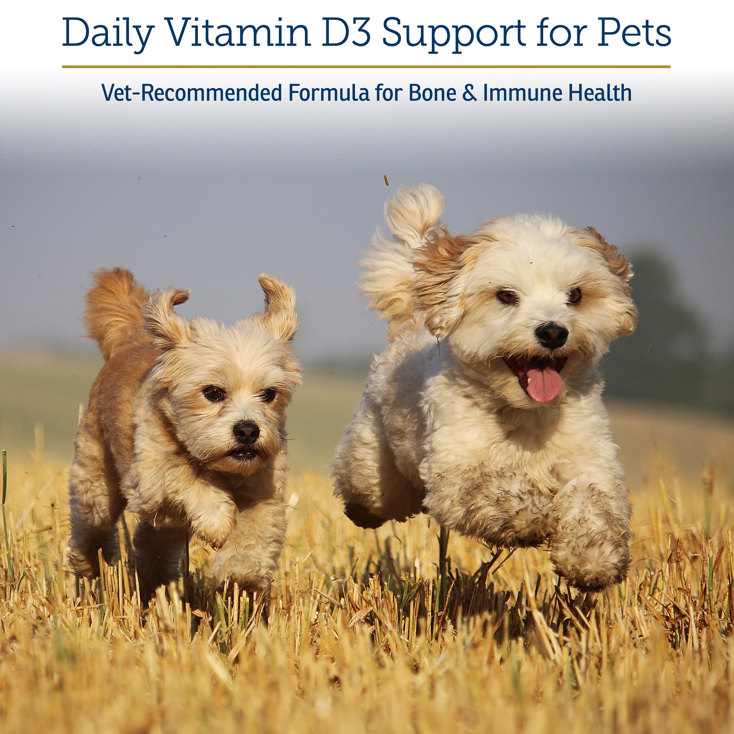 Rx Vitamins Rx D3 dropper closeup demonstrates precise dosing for pets of all sizes.