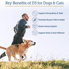 Rx Vitamins Rx D3 in MCT oil pouring illustrates fast, safe nutrient delivery.