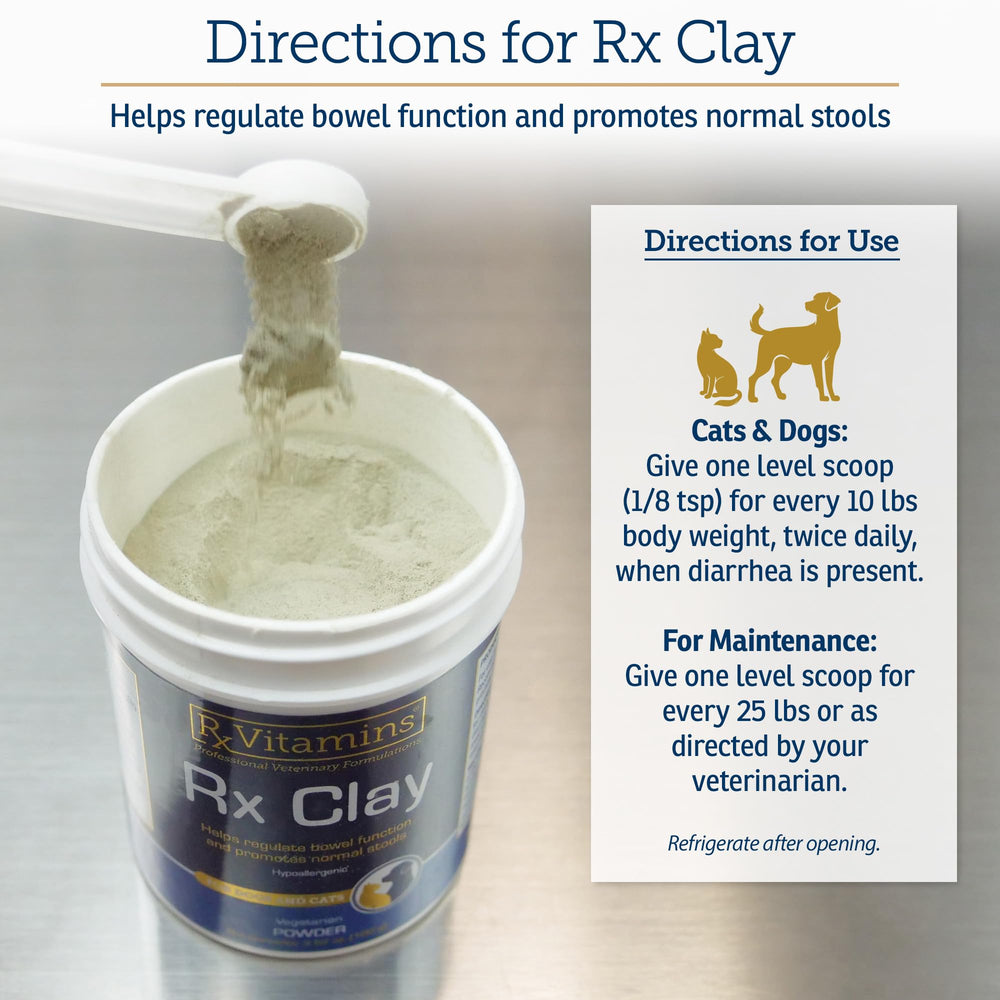 Rx Vitamins RX Edible Clay Powder single-ingredient natural composition detail.