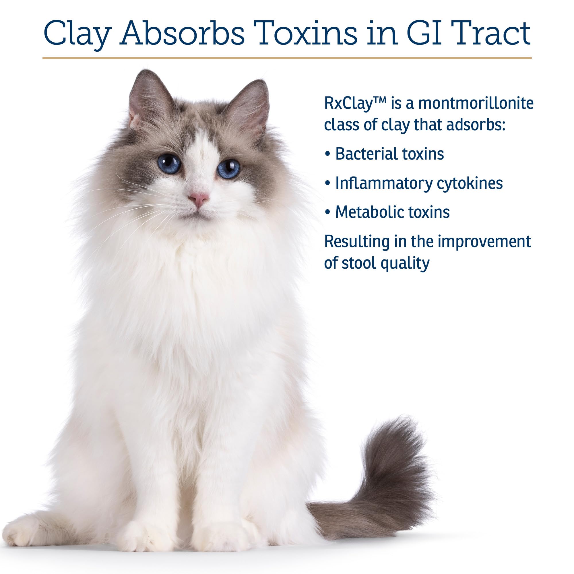 Rx Vitamins RX Edible Clay Powder packets for easy at-home dosing.