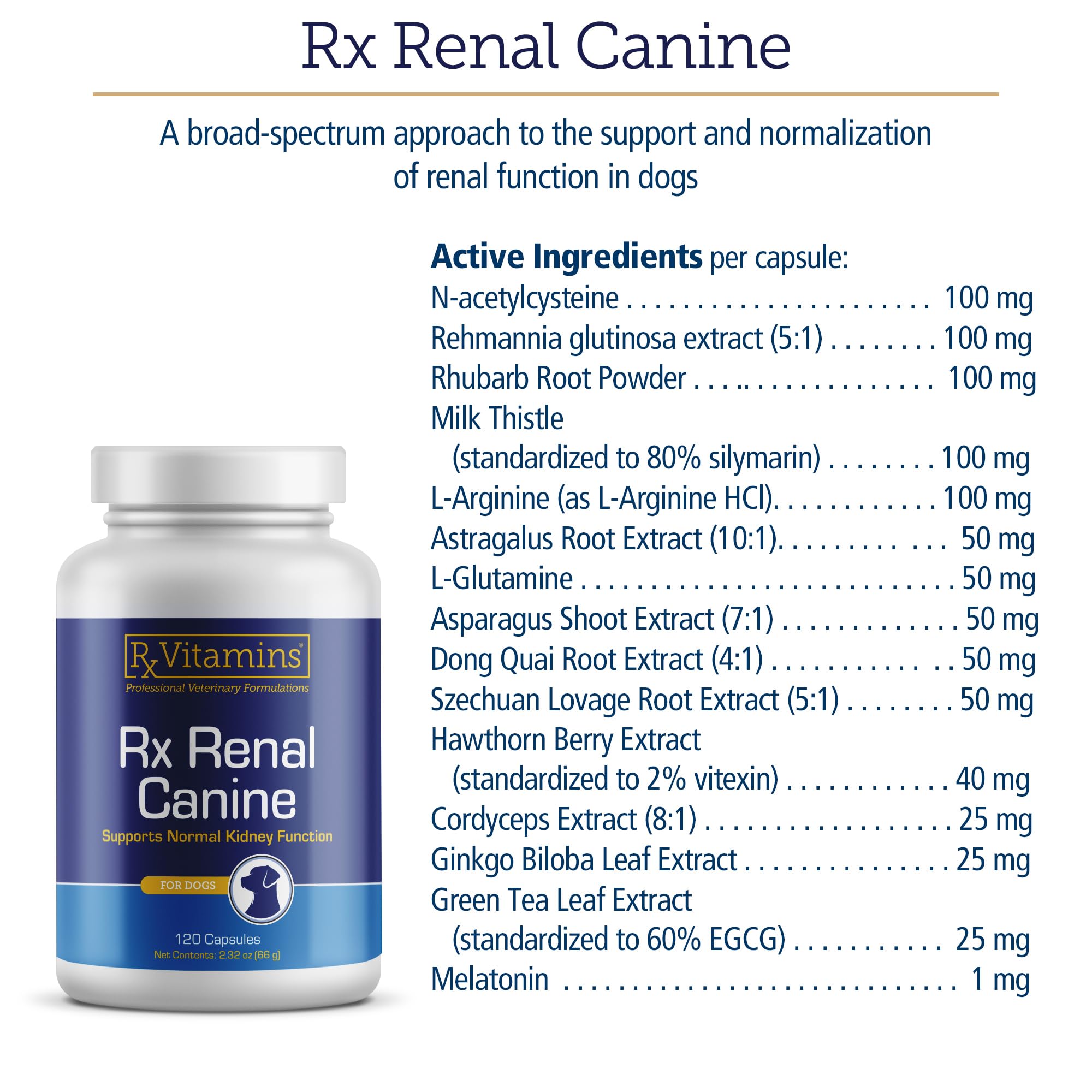 Astragalus and ginkgo blend in Rx Renal for balanced wellness.