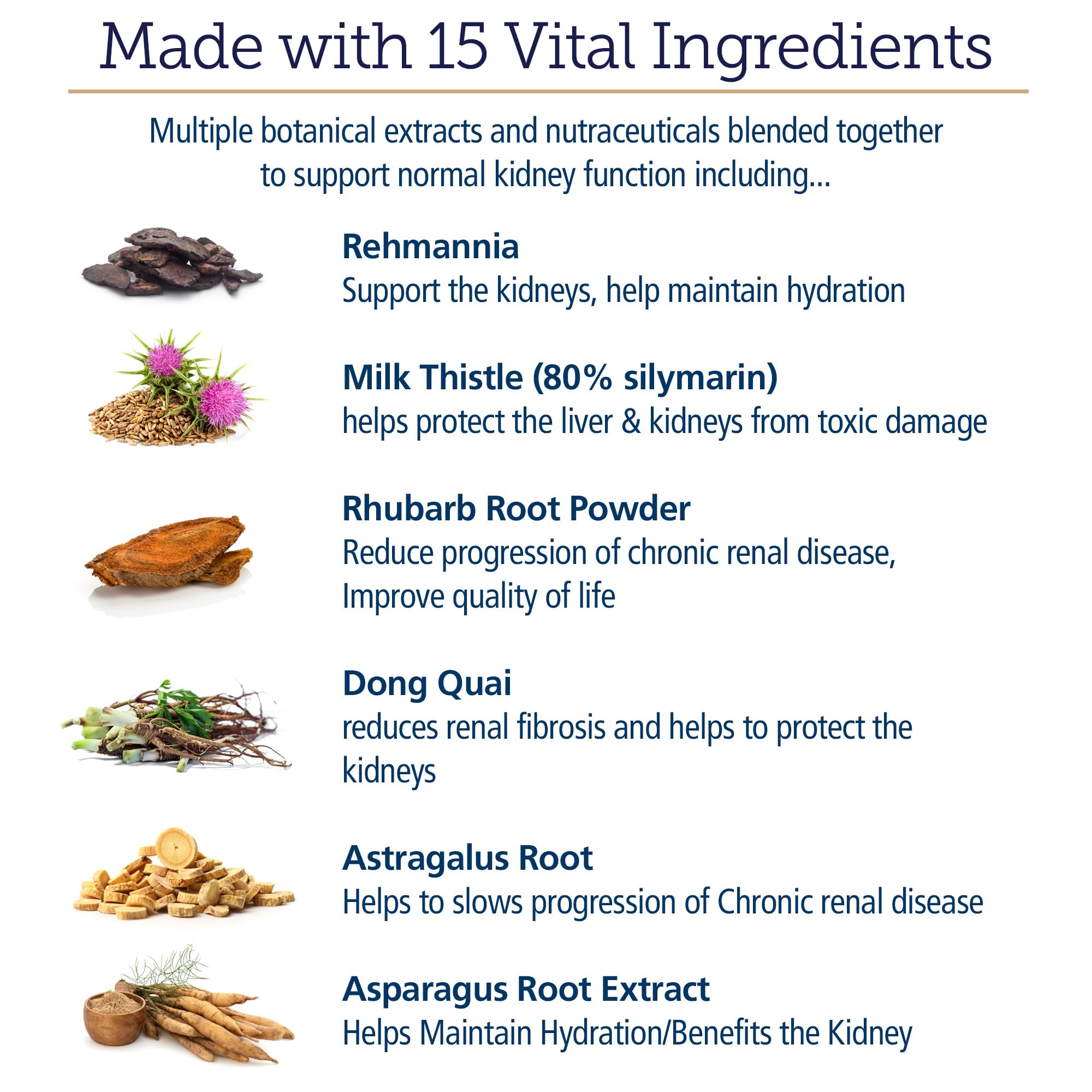 Green tea antioxidants in Rx Renal support canine vitality.