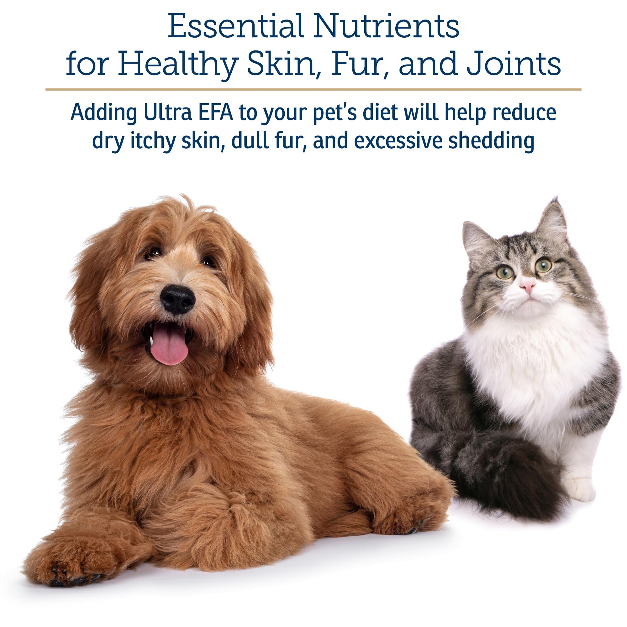 Rx Vitamins Ultra EFA Omega 3 8oz bottle on shelf signals convenient pet wellness.