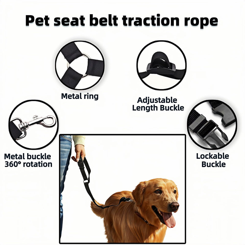 RyanDesign-2pack-dog-travel-set adds value for homes with multiple dogs or back-up options.
