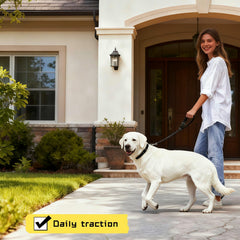 RyanDesign-360deg-swivel-clip enables tangle-free movement for dogs that shift positions during trips.