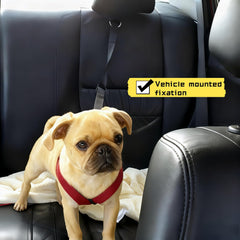 RyanDesign-heavy-duty-nylon-webbing offers lasting durability for daily car rides and park outings.