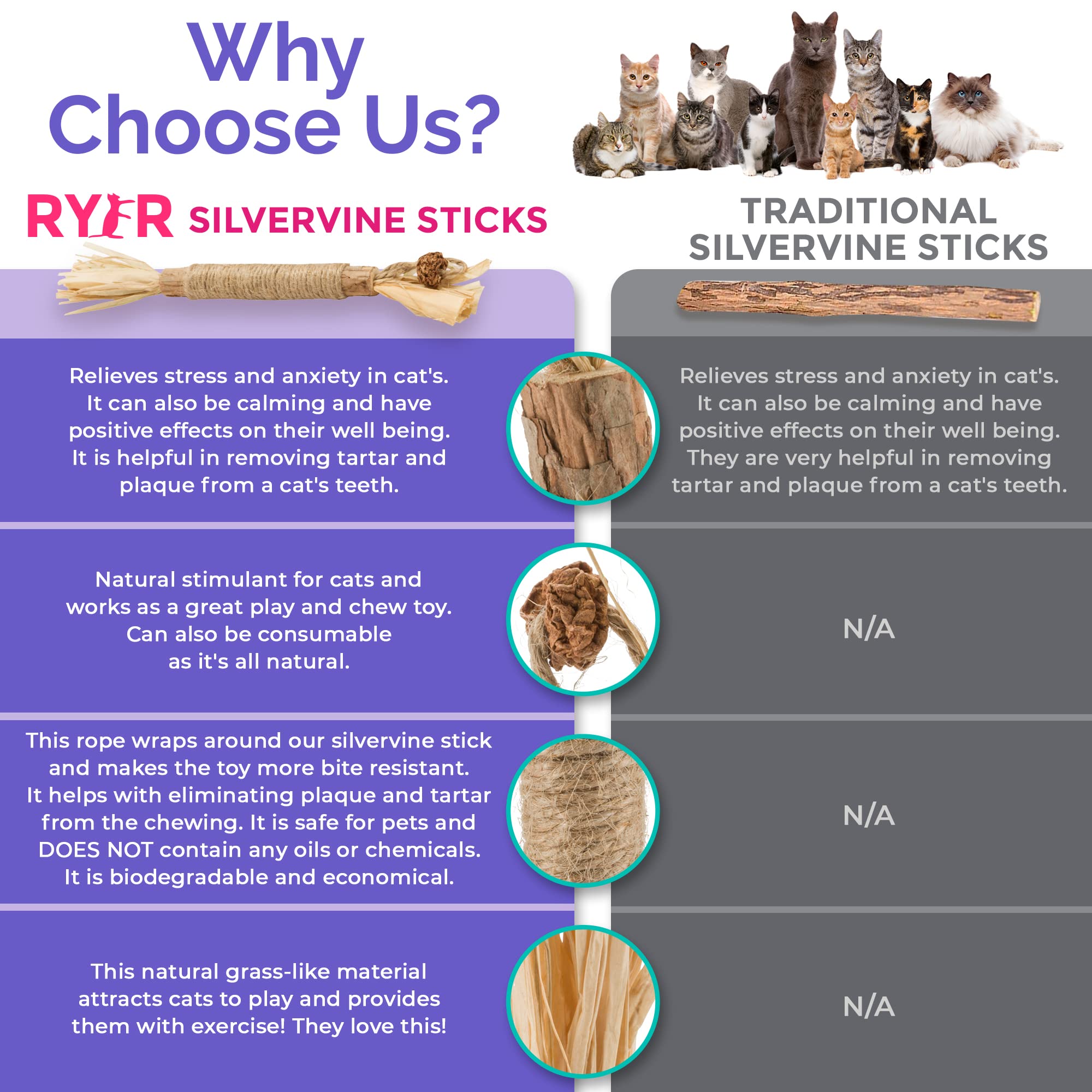 RYERCAT Silvervine Sticks promoting fresh breath and tooth engagement