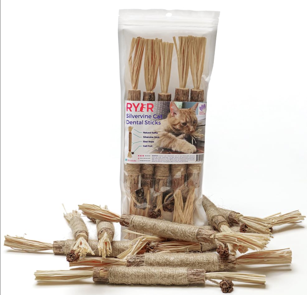 Cat chewing RYERCAT Silvervine Sticks during playtime