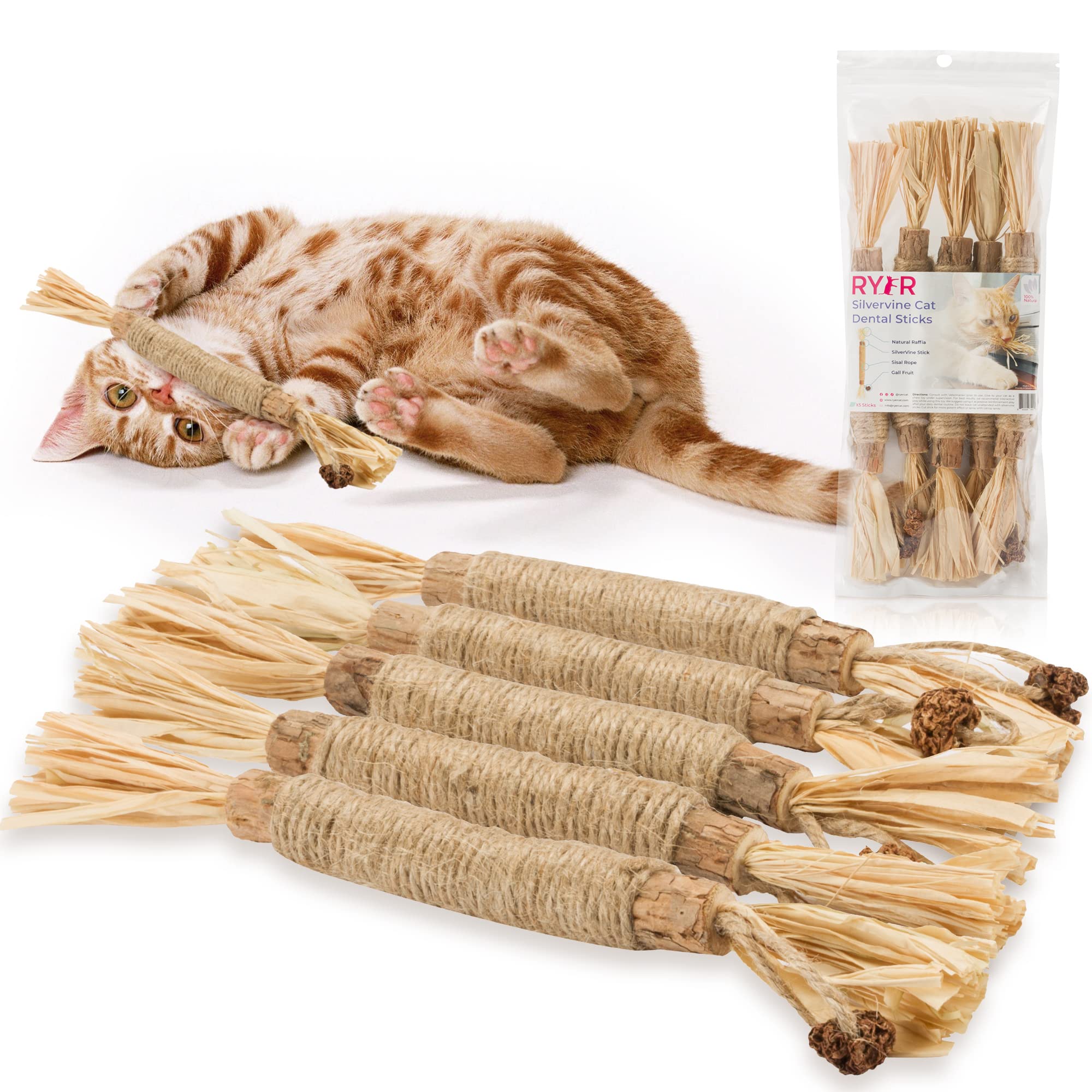 Cat active with RYERCAT Silvervine Sticks contributing to coat health through play