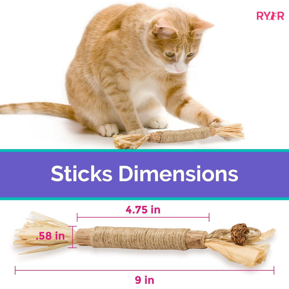 Multipurpose use of RYERCAT Silvervine Sticks as toy and training aid