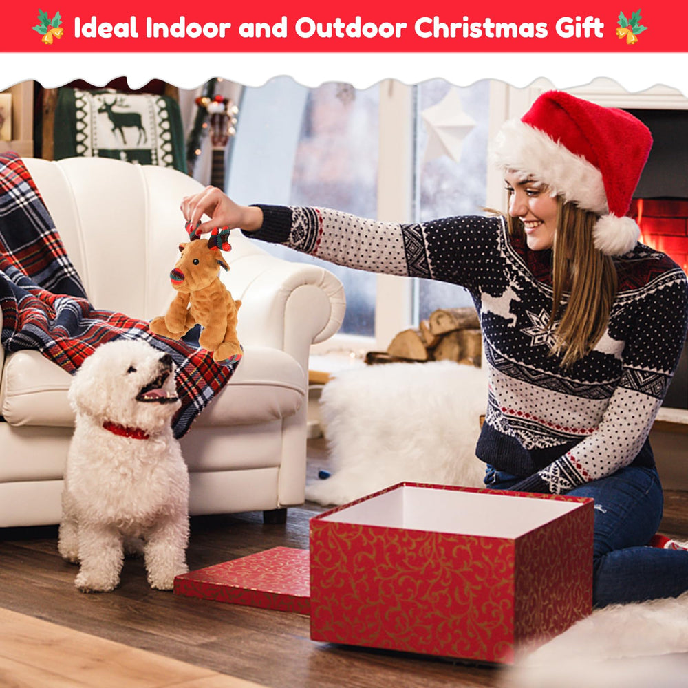 Rypet Christmas Dog Gift Toy: festive chew for pets.