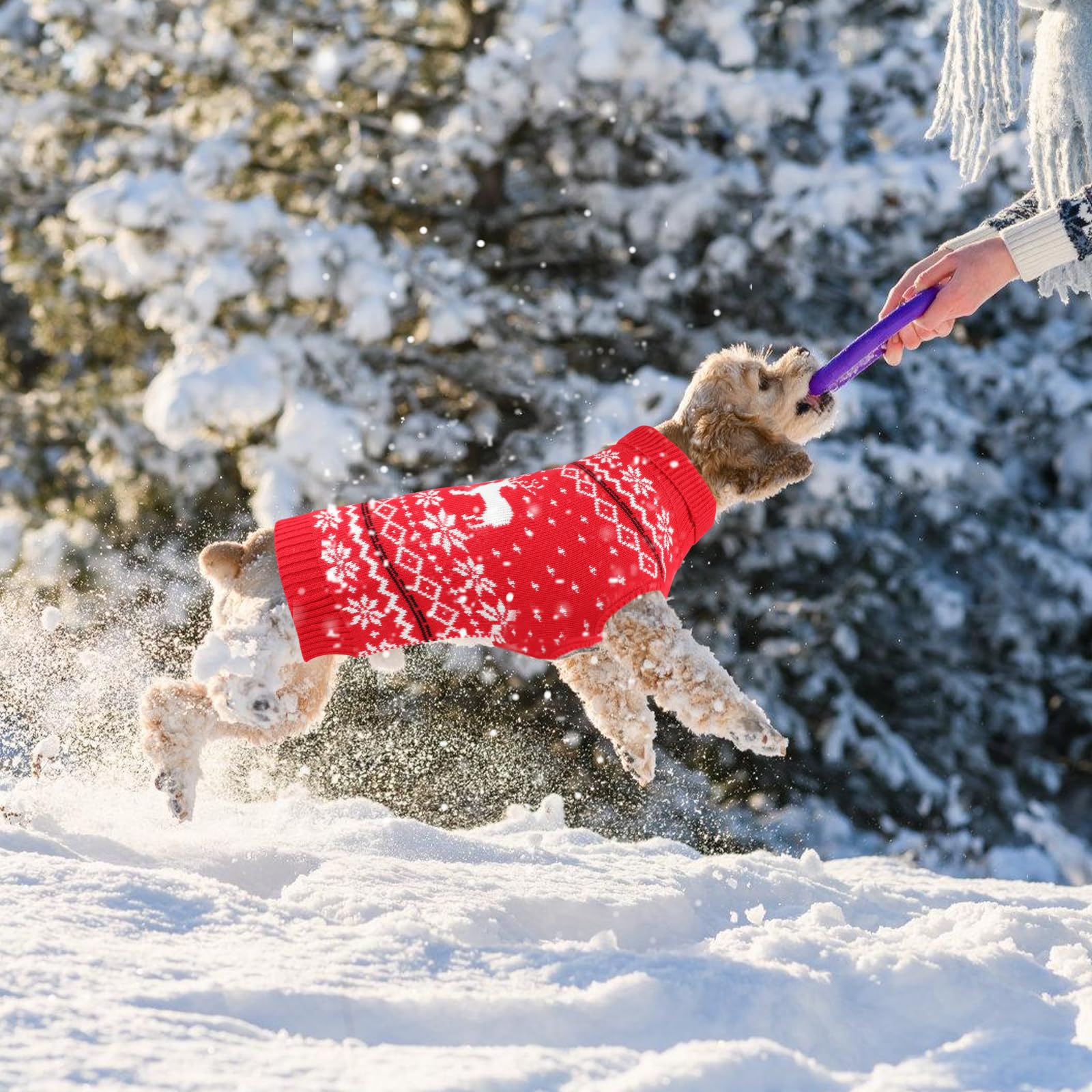 Rypet dog Christmas sweater elk print enhances festive photos.