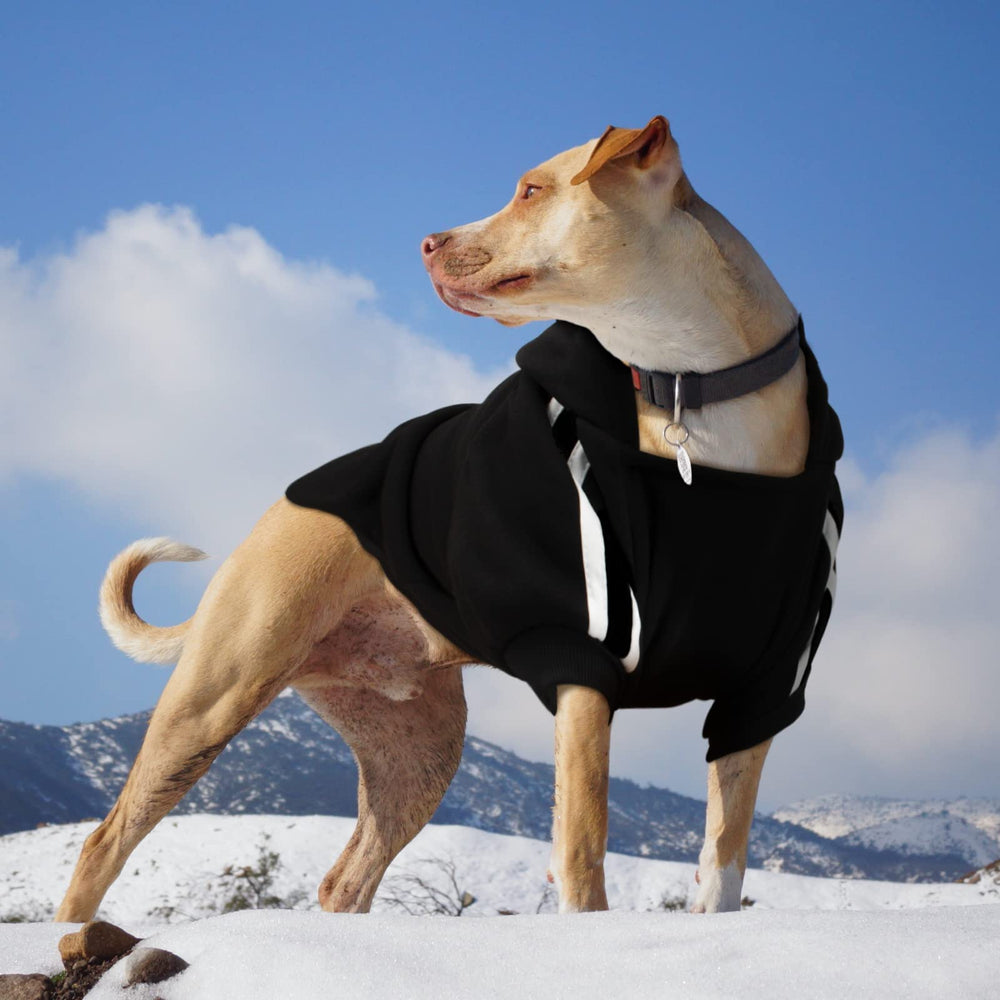 Rypet dog hoodie two-pack-package provides color options for daily wear