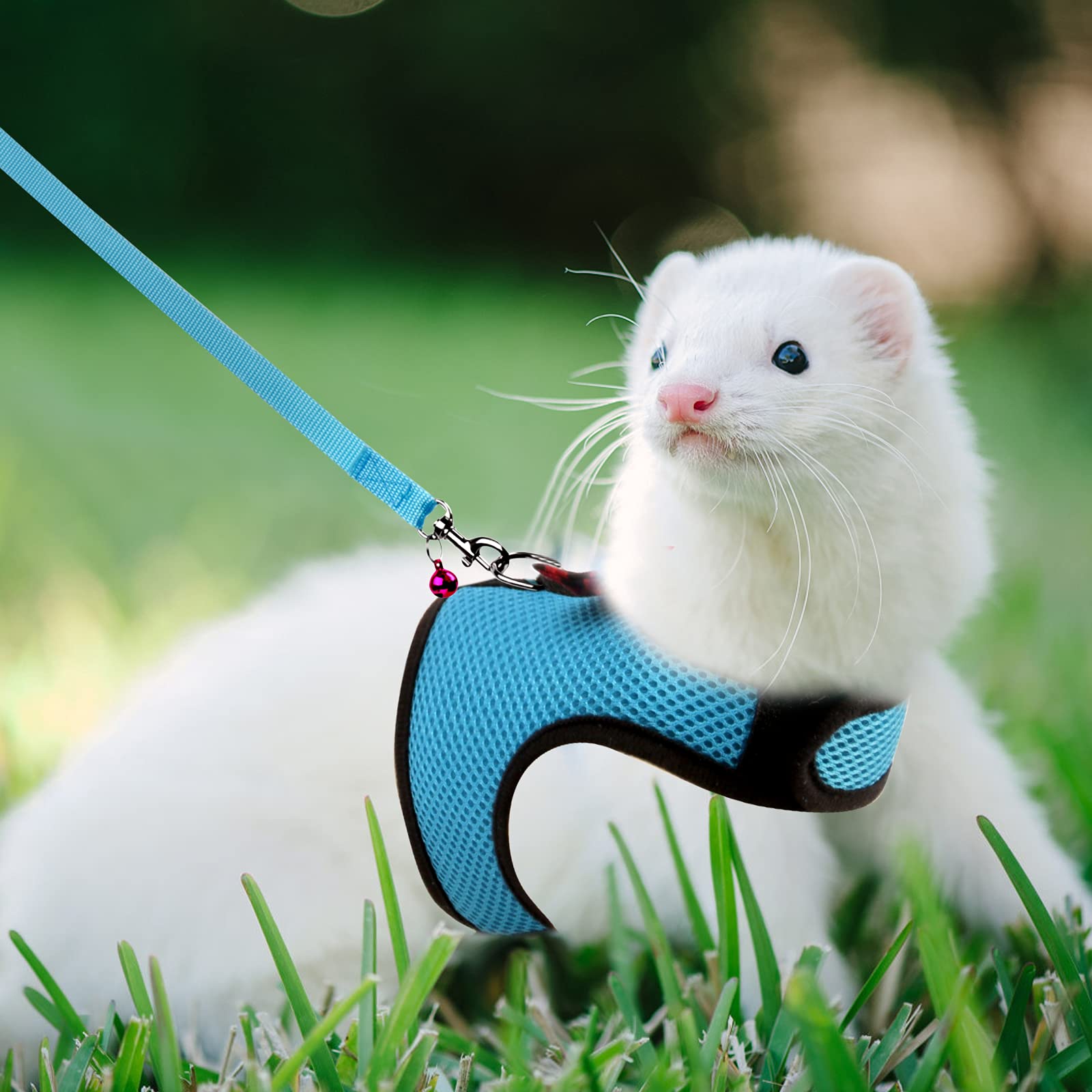 Rypet breathable mesh provides airy comfort during year-round wear