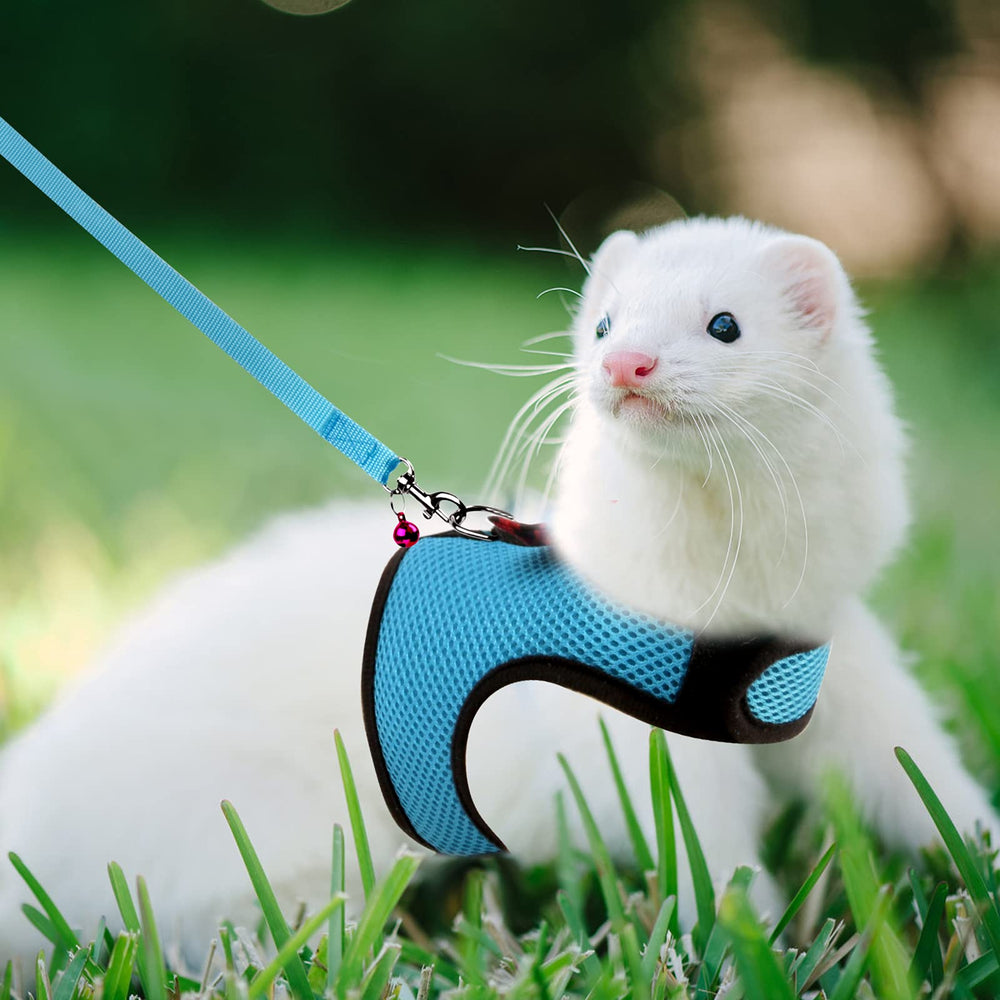 Rypet breathable mesh provides airy comfort during year-round wear