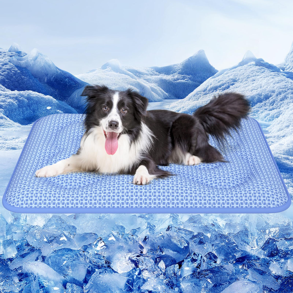 Rywell dog cooling mat arc-chill-3-0 delivers fast cooling for hot days.