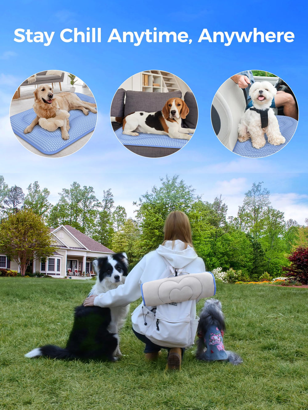 Rywell built-in handle makes travel easy for on-the-go pets.