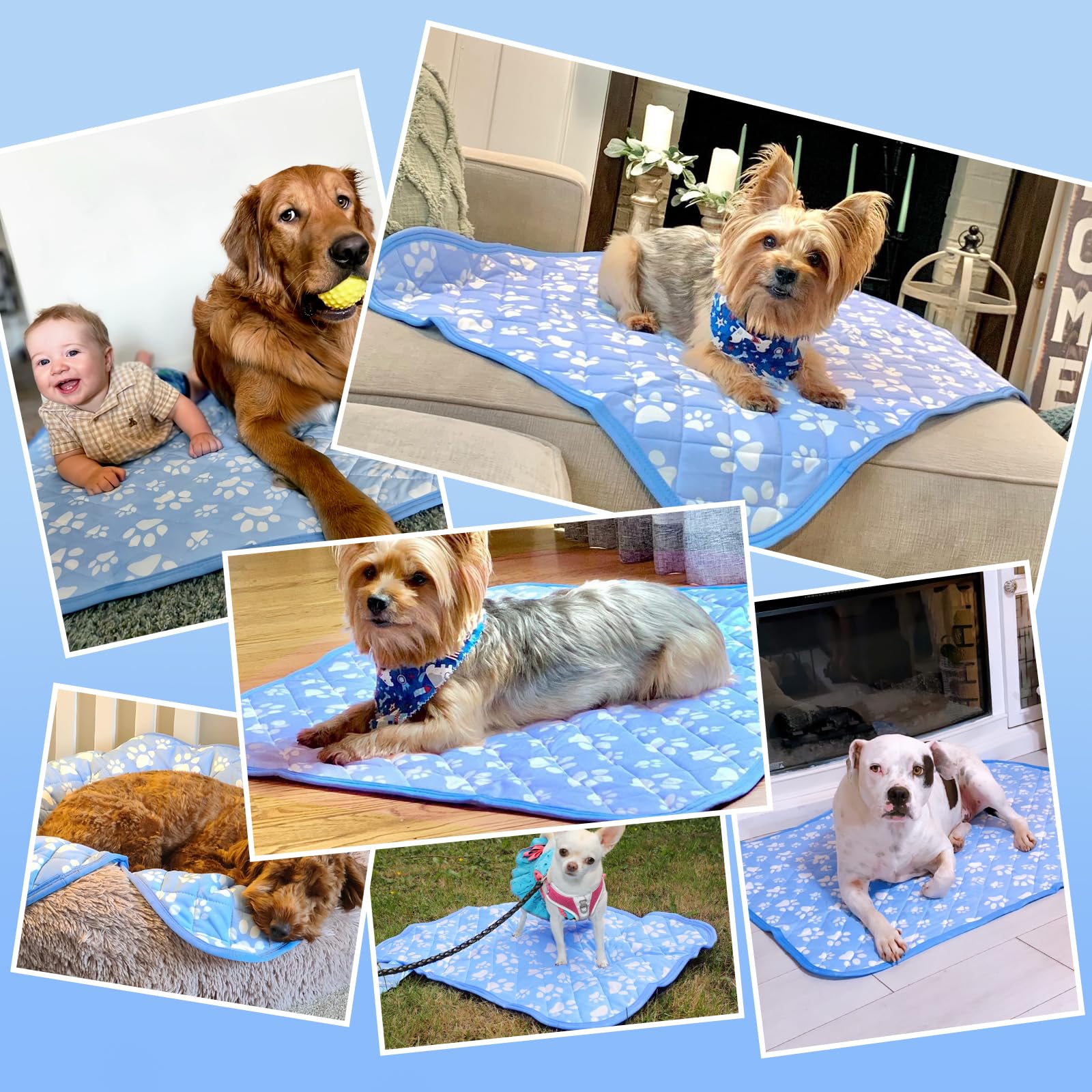 Rywell large dog bed fits big breeds and travels with ease