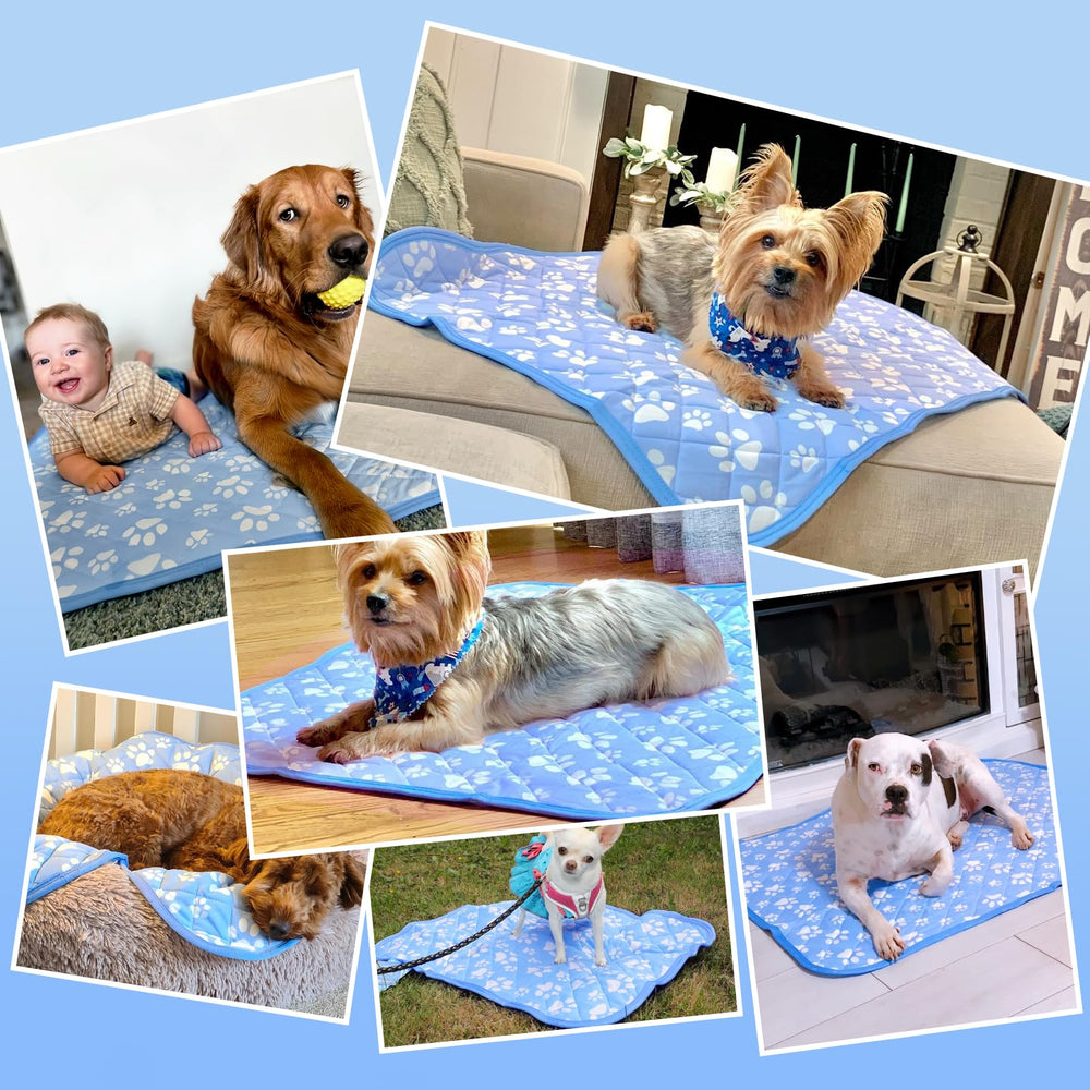 Rywell large dog bed fits big breeds and travels with ease