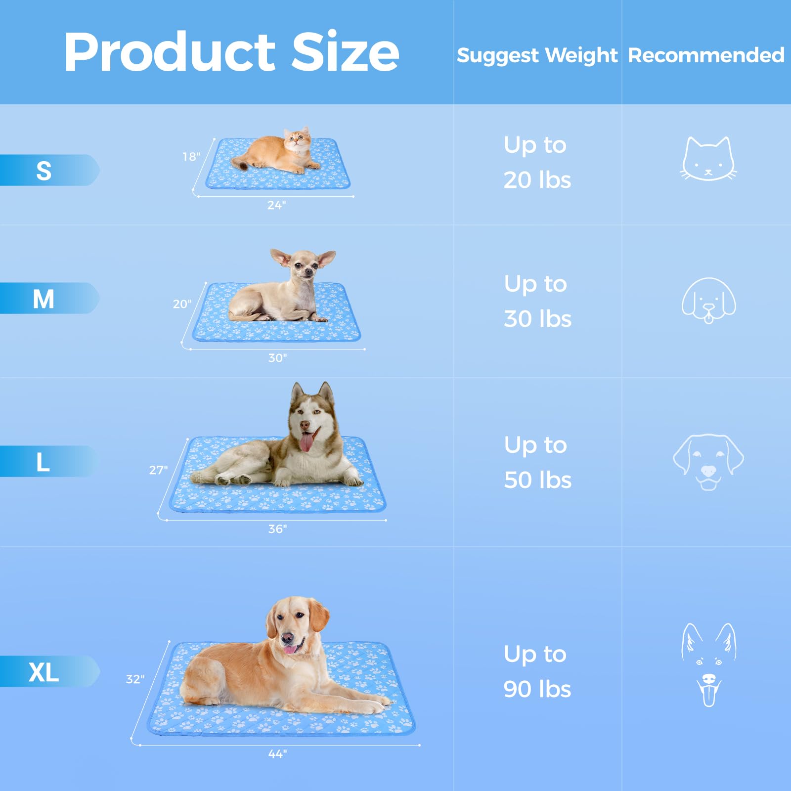 Rywell one-year maintenance service promises support after purchase