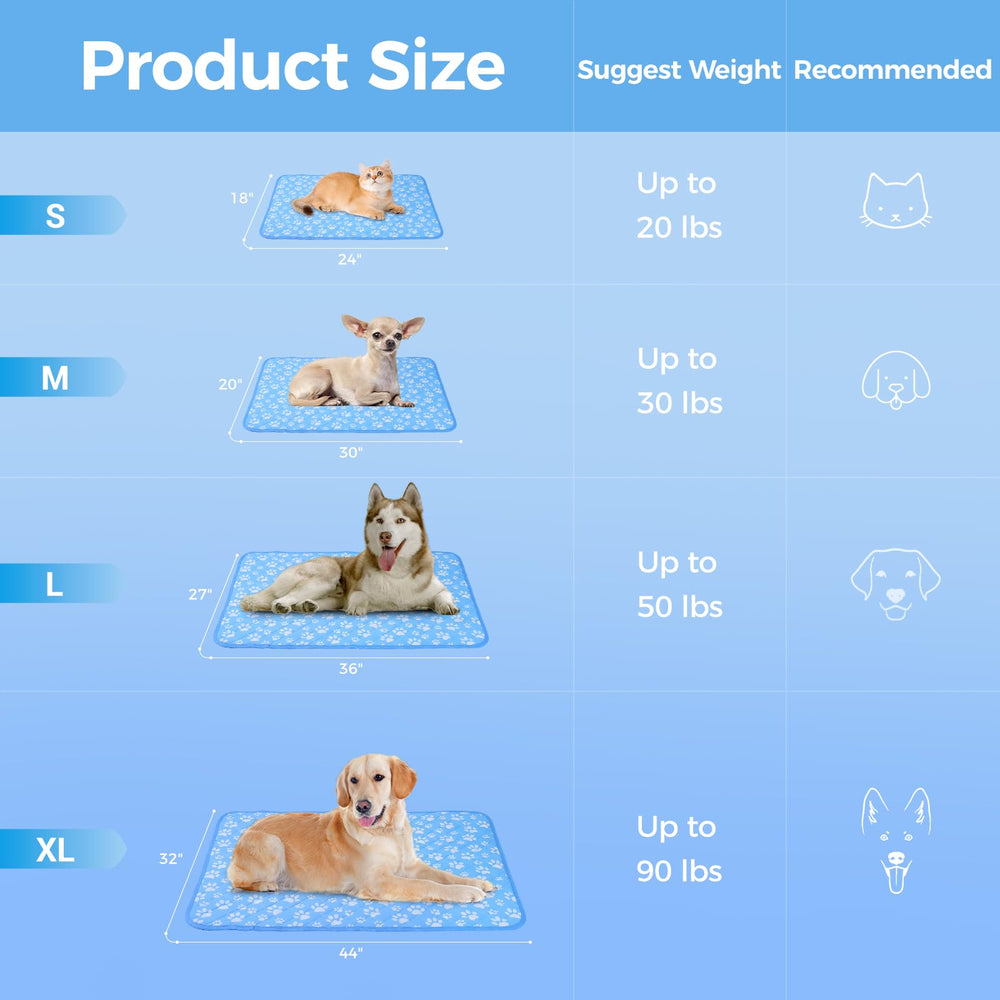 Rywell one-year maintenance service promises support after purchase