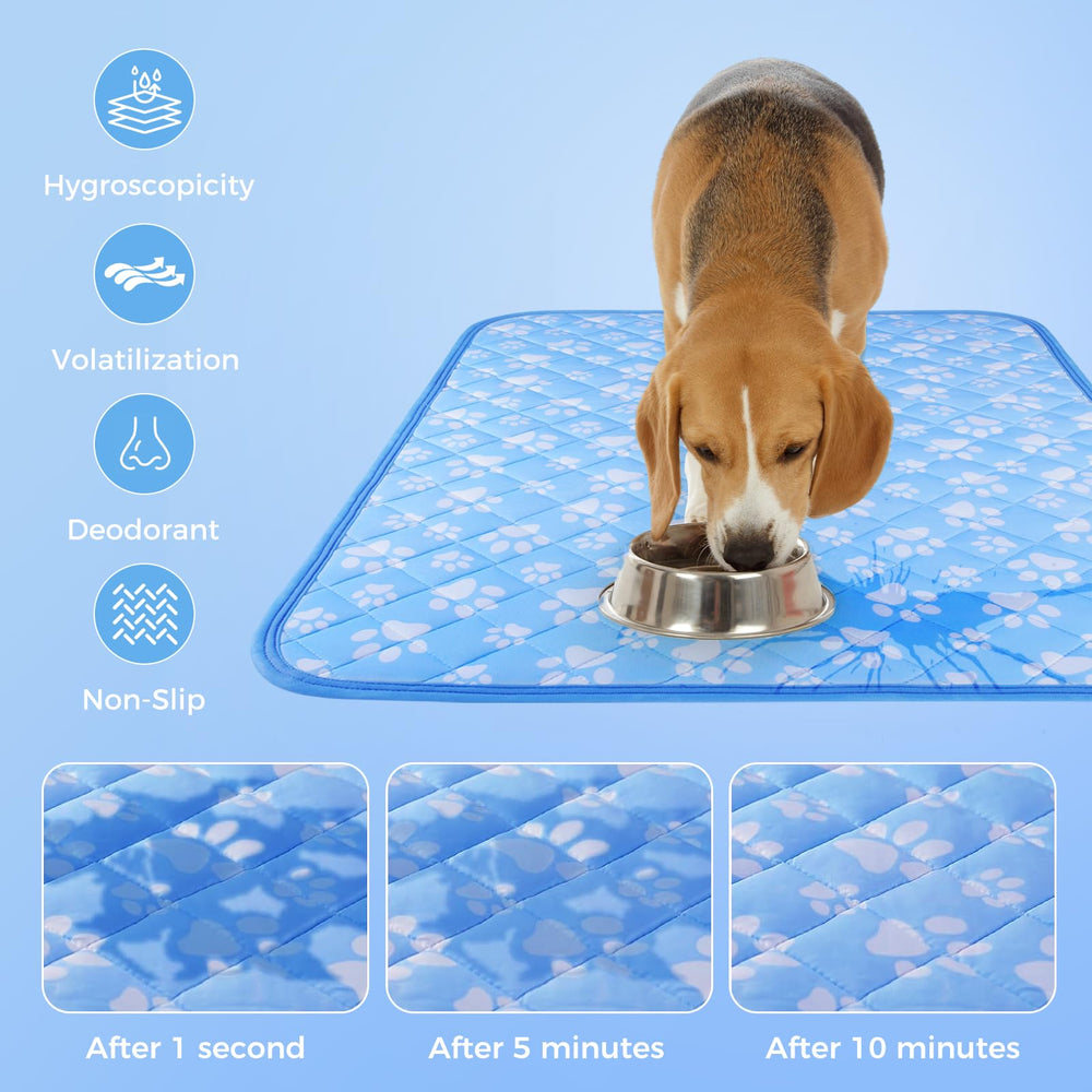 Rywell suregrip non-slip dots keep the mat stable during zoomies and naps