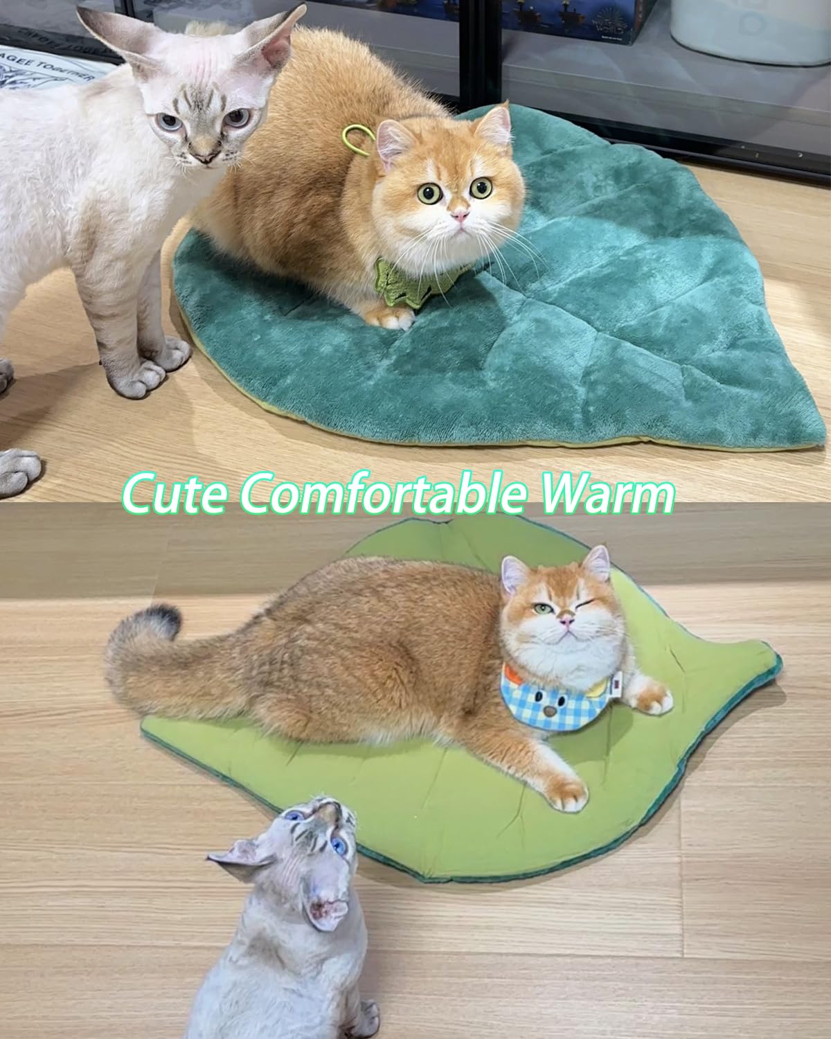 Rzxlszy leaf-shaped cat bed on floor offers versatile relaxing space
