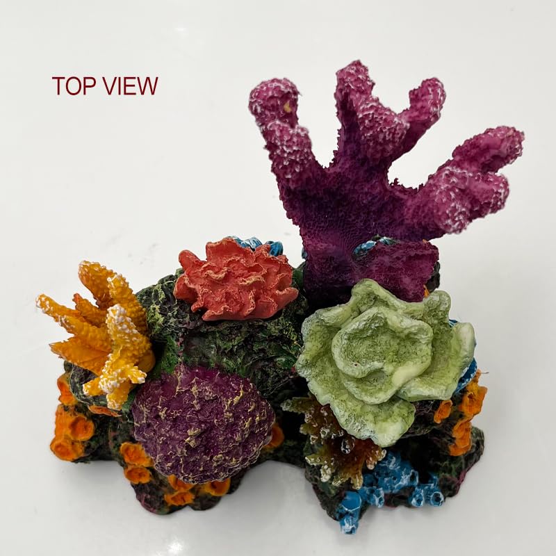 S-Lifeeling coral reef ornament provides hiding spots for fish and shrimp.