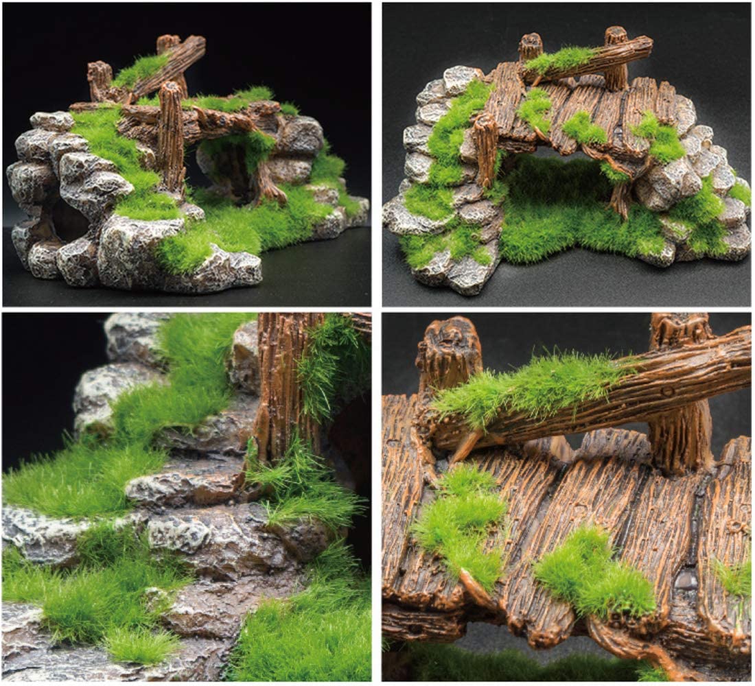 S-Lifeeling fish and shrimp habitat enhances tank aesthetics and behavior.