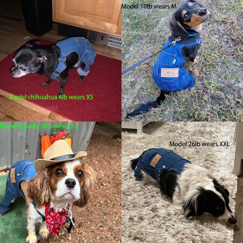 S-Lifeeling elastic jeans overalls showcase chest girth fit, helping pets move freely