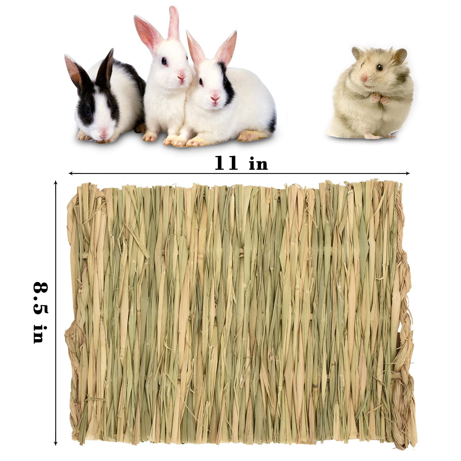 S SANGLE SOPFFY grass mat in cage demonstrates cozy nesting for small animals