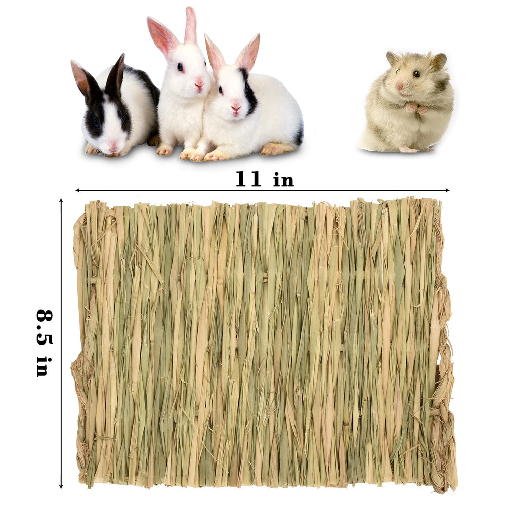 S SANGLE SOPFFY grass mat in cage demonstrates cozy nesting for small animals