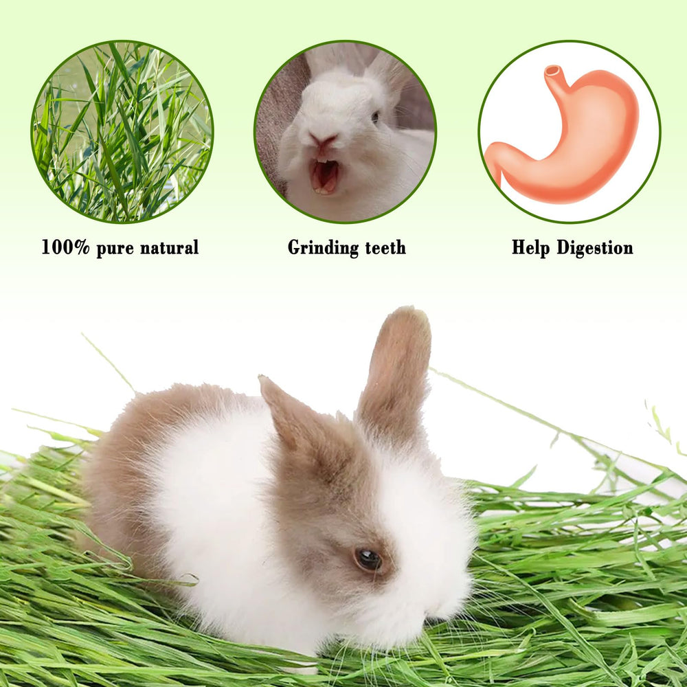 S SANGLE SOPFFY grass mat six-pack packaging emphasizes chemical-free design