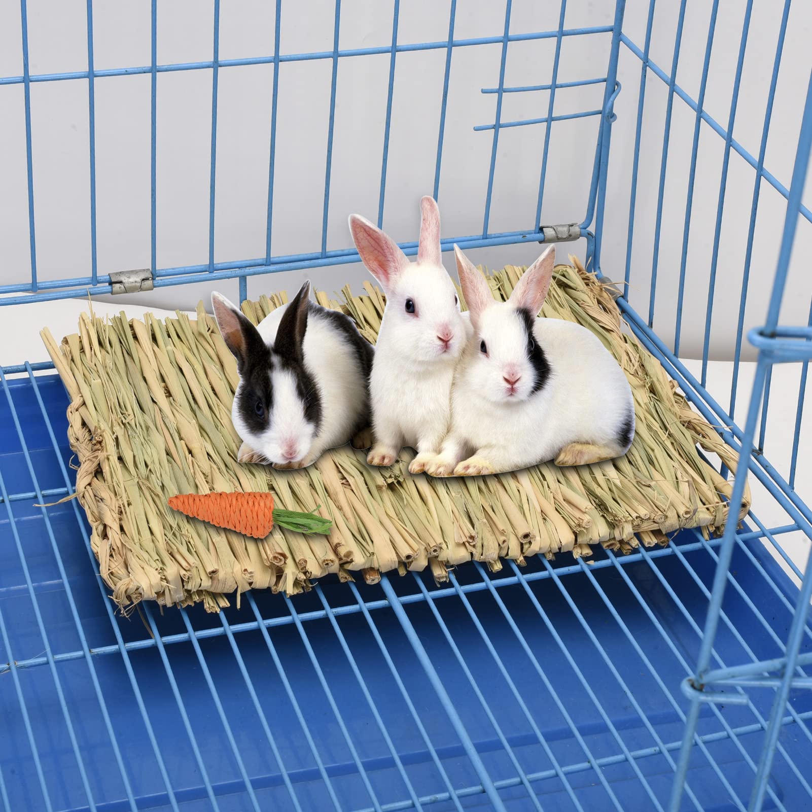 S SANGLE SOPFFY grass mat in use for small-pet enrichment and paw protection