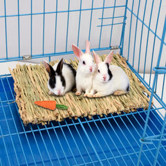S SANGLE SOPFFY grass mat in use for small-pet enrichment and paw protection