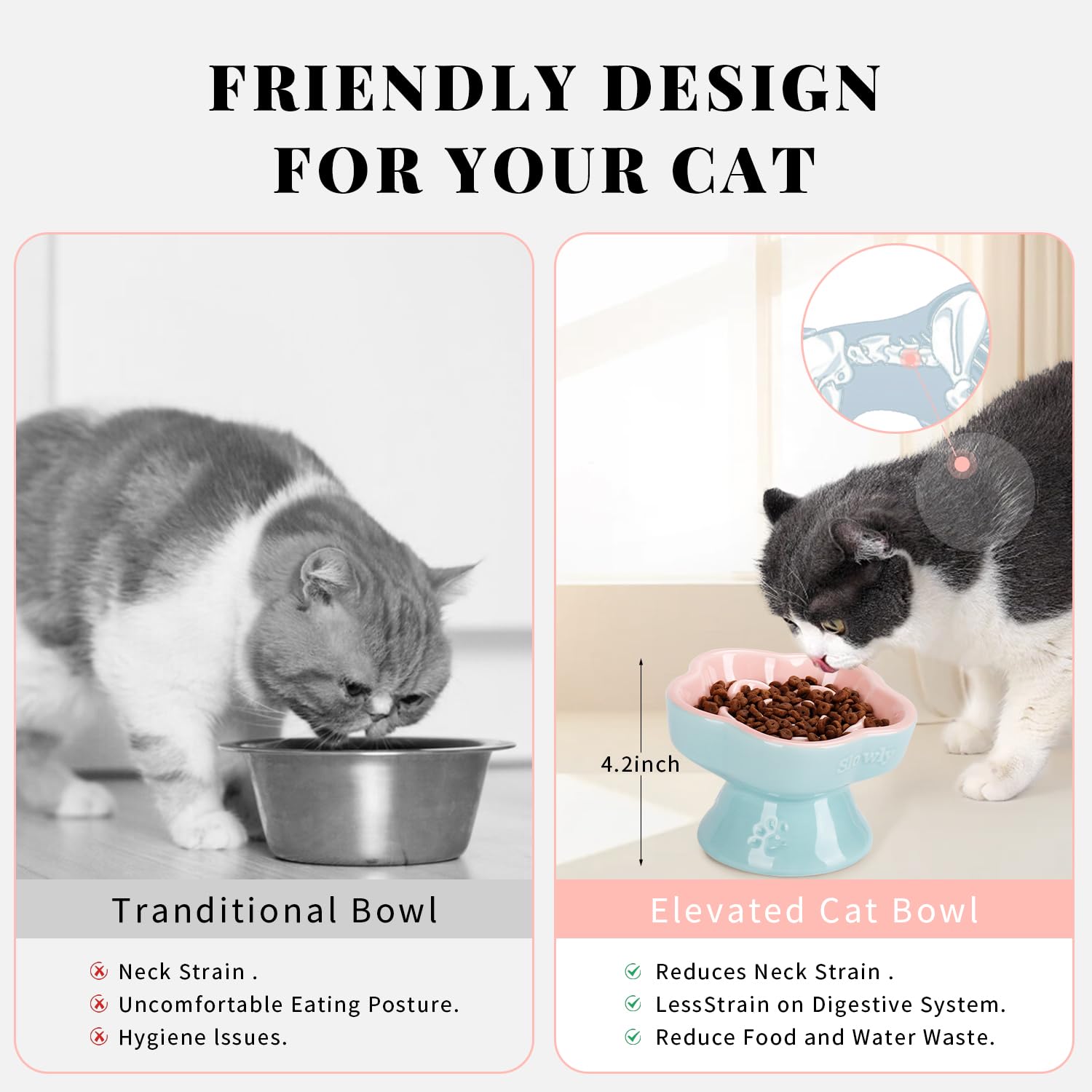 S&Q'S CERAMICS smooth ceramic surface supports easy cleaning after meals and odor retention-free feel.
