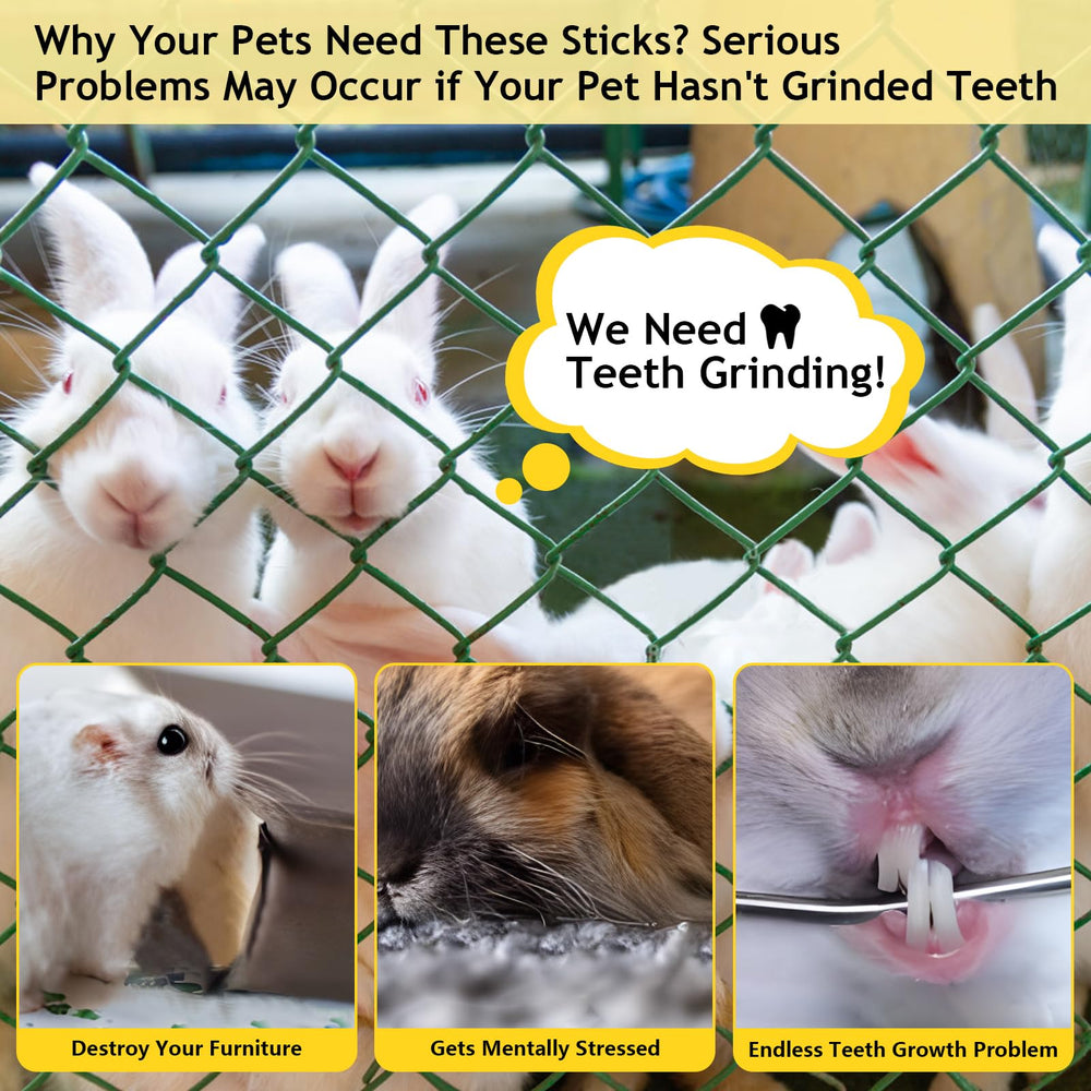 Sadaunbe Apple Sticks hamster-gerbil snack close-up emphasizing daily molar-friendly chew.